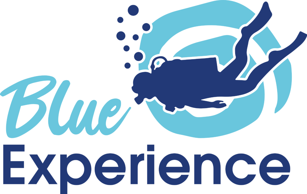 blue exp logo